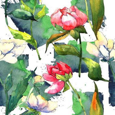 Kır çiçeği peony çiçek deseni suluboya tarzında.