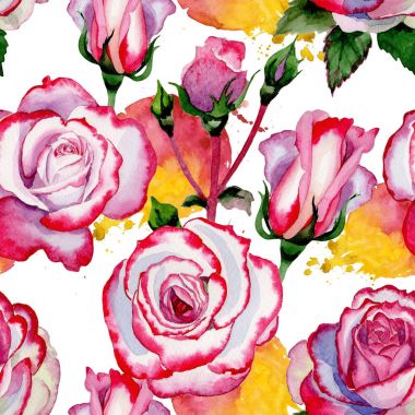 Kır çiçeği hibrid gül çiçek deseni suluboya tarzında.