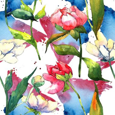 Kır çiçeği peony çiçek deseni suluboya tarzında.