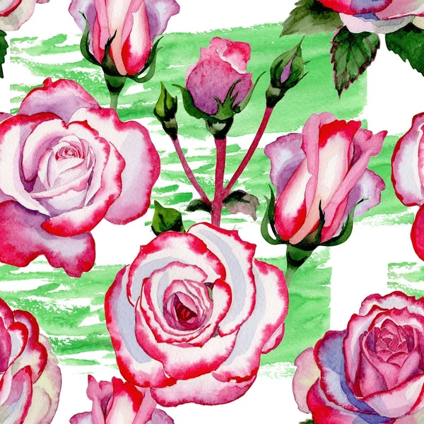 Wildflower hybrid rose flower pattern in a watercolor style.