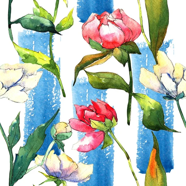 Wildflower παιωνία λουλούδι μοτίβο σε στυλ υδροχρώματος. — Φωτογραφία Αρχείου