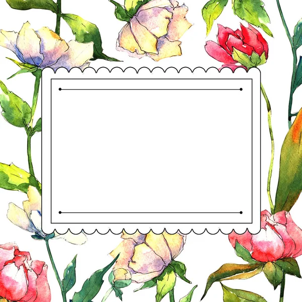 Wildflower peony flower frame in a watercolor style. — Stock Photo, Image