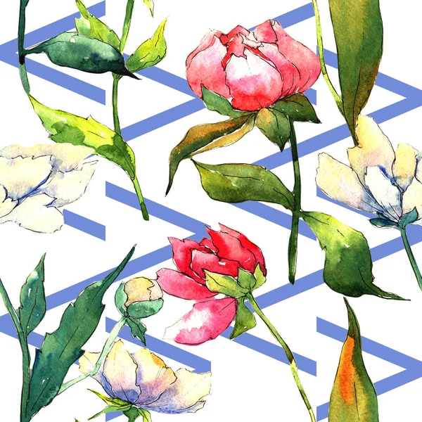 수채화 스타일에 야생화 모란 꽃 패턴. — 스톡 사진