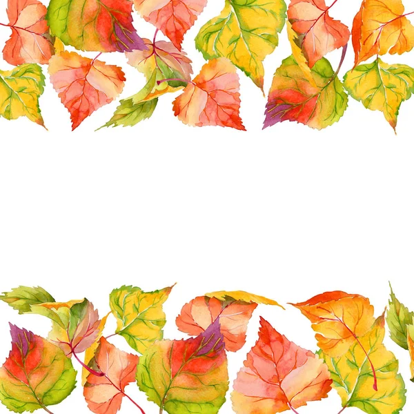 Hoja de otoño de marco de álamo en un estilo de acuarela dibujado a mano . — Foto de Stock