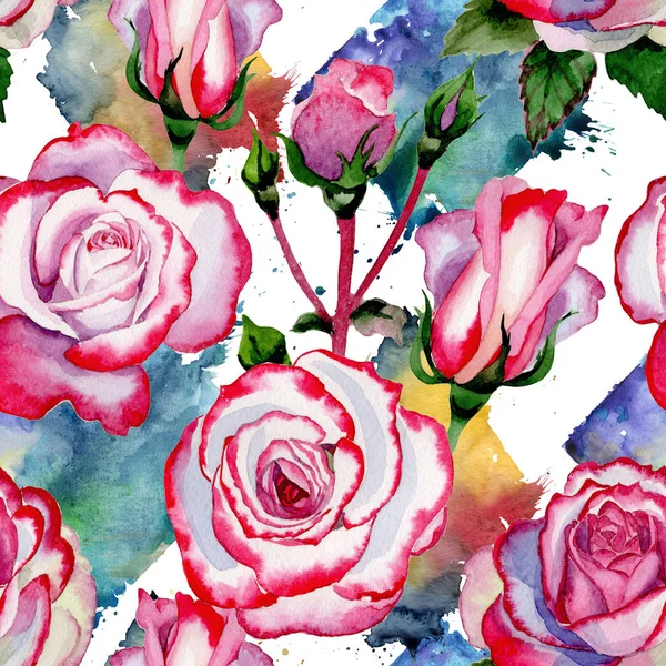 Modello di fiore di rosa ibrido Wildflower in stile acquerello . — Foto Stock