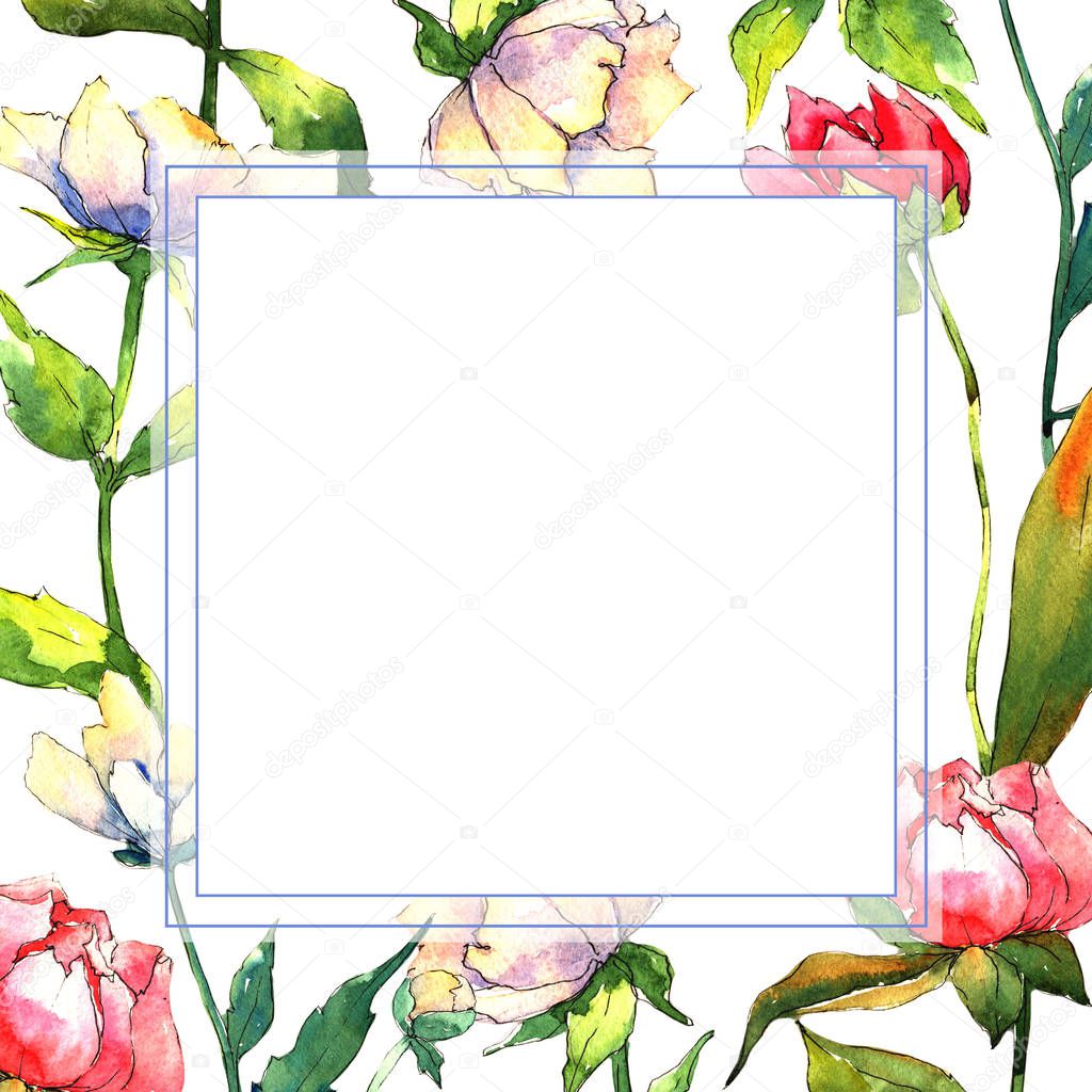 Wildflower peony flower frame in a watercolor style.