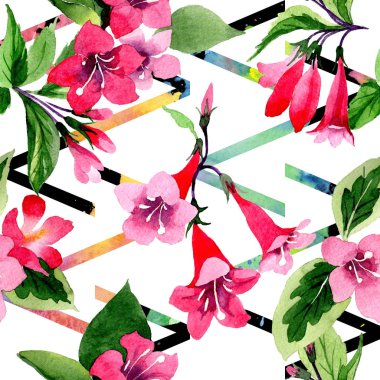 Kır çiçeği weigela çiçek deseni suluboya tarzında.