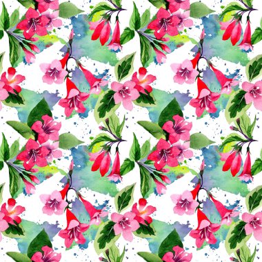 Kır çiçeği weigela çiçek deseni suluboya tarzında.