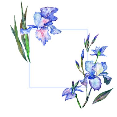 Kır çiçeği Iris çiçek çerçeve suluboya tarzında.