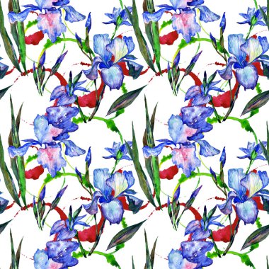 Kır çiçeği Iris çiçek deseni suluboya tarzında.