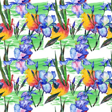 Kır çiçeği Iris çiçek deseni suluboya tarzında.
