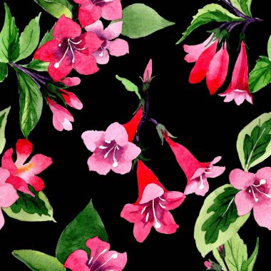 Kır çiçeği weigela çiçek deseni suluboya tarzında.