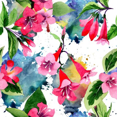 Kır çiçeği weigela çiçek deseni suluboya tarzında.