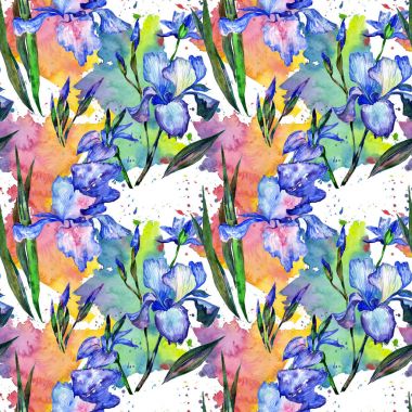 Kır çiçeği Iris çiçek deseni suluboya tarzında.