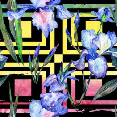 Kır çiçeği Iris çiçek deseni suluboya tarzında.