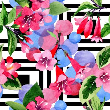 Kır çiçeği weigela çiçek deseni suluboya tarzında.