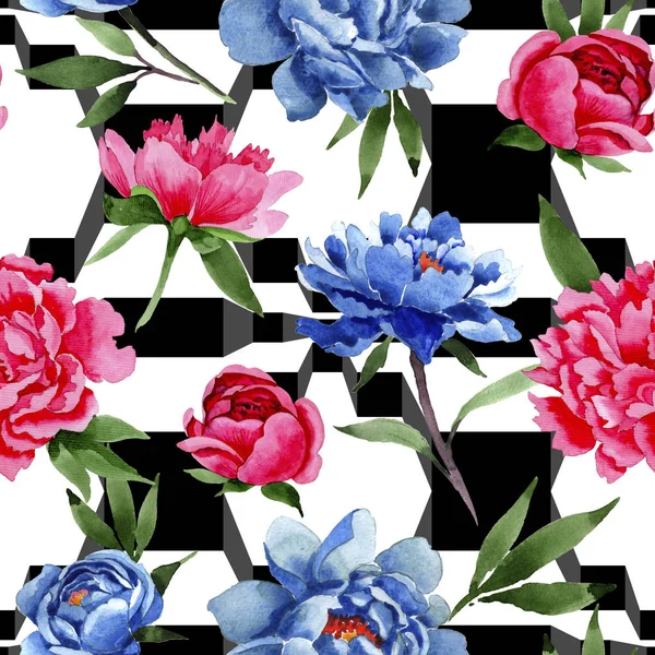 Дика квітка червоно-сині півонії візерунок квітів в акварельному стилі . — стокове фото