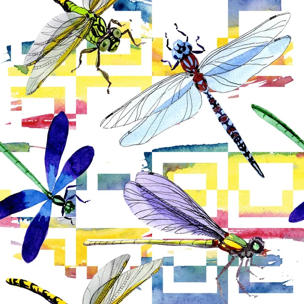 Modèle exotique d'insectes sauvages libellules dans un style aquarelle . — Photo