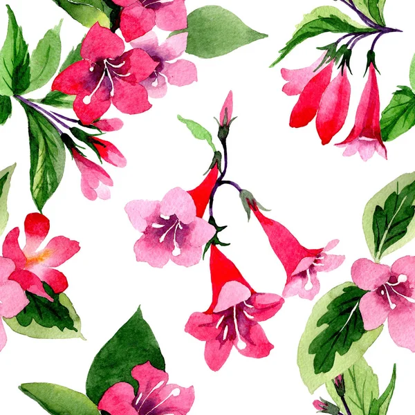 Wildflower weigela blommönster i akvarell stil. — Stockfoto