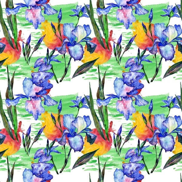 Wildflower iris bloemenpatroon in een aquarel stijl. — Stockfoto