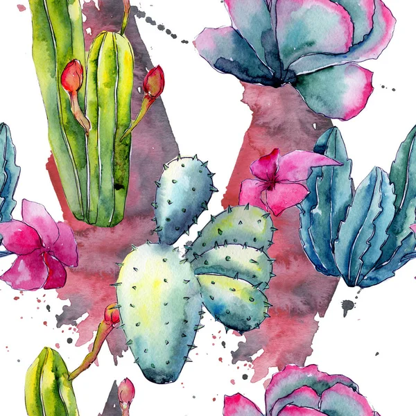 Egzotikus vadvirág kaktusz minta akvarell stílusú. — Stock Fotó