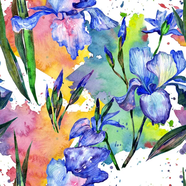 Wildflower iris bloemenpatroon in een aquarel stijl. — Stockfoto