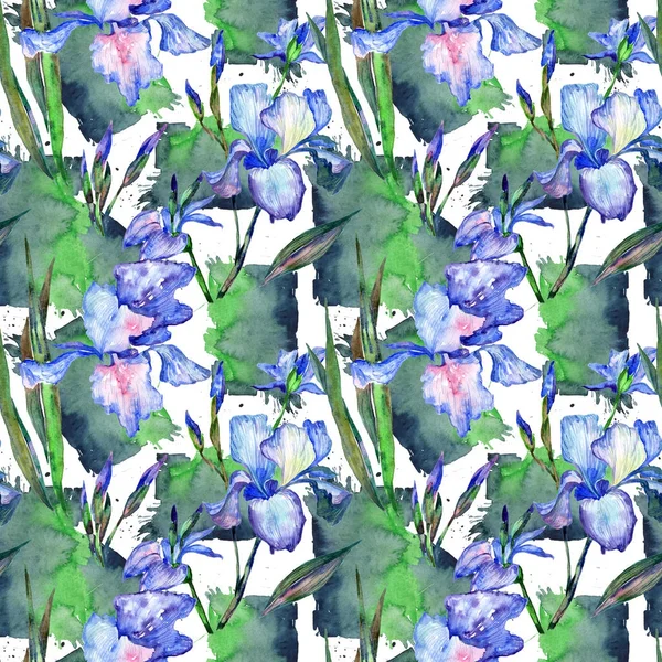 Wildflower iris flower pattern in a watercolor style. — Stock Photo, Image