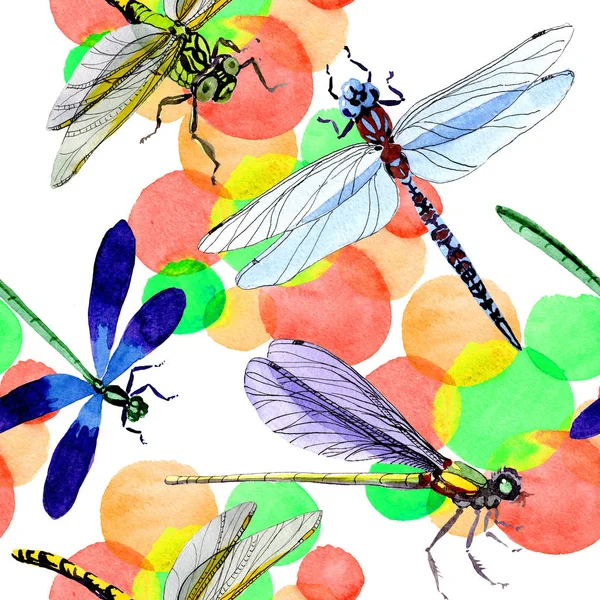 Modèle exotique d'insectes sauvages libellules dans un style aquarelle . — Photo