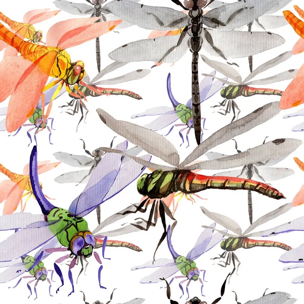 Egzotikus szitakötő vadon élő rovarok minta akvarell stílusú. — Stock Fotó