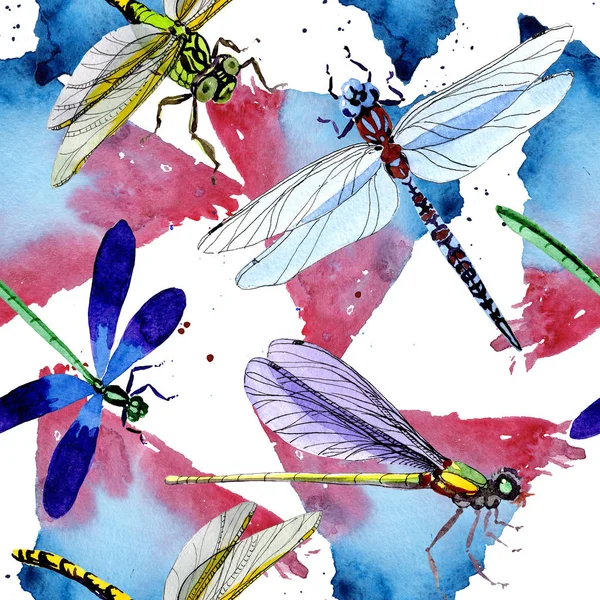 Padrão de inseto selvagem libélula exótica em um estilo aquarela . — Fotografia de Stock