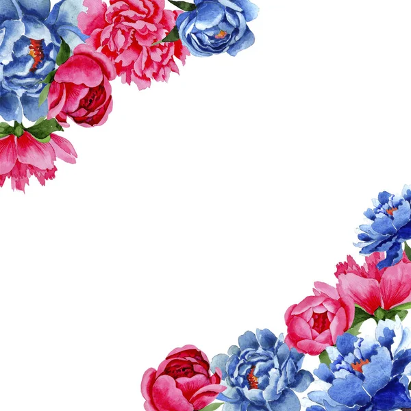 Wildflower κόκκινο και μπλε παιώνιες λουλούδια πλαισίων σε στυλ υδροχρώματος. — Φωτογραφία Αρχείου