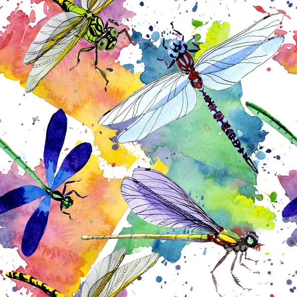 Modello esotico di insetti selvatici libellula in stile acquerello . — Foto Stock