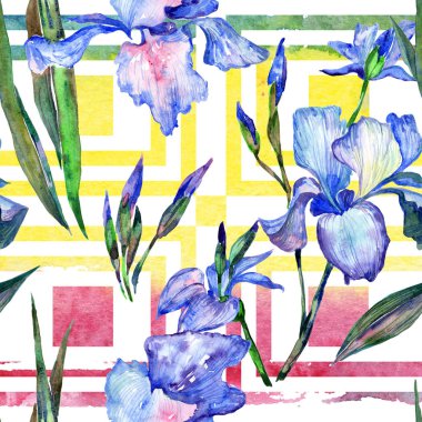 Kır çiçeği Iris çiçek deseni suluboya tarzında.
