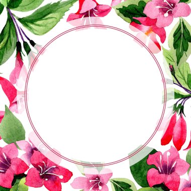 Kır çiçeği weigela çiçek çerçeve suluboya tarzında.