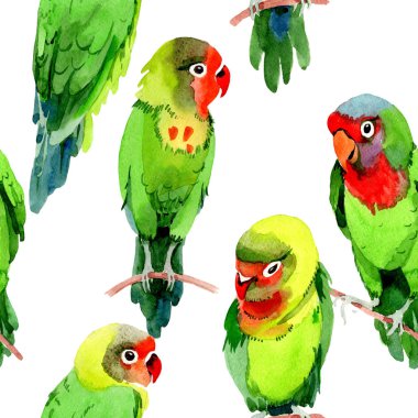 Gökyüzü kuşlar küçük papağan desende bir yaban hayatı suluboya stili tarafından.