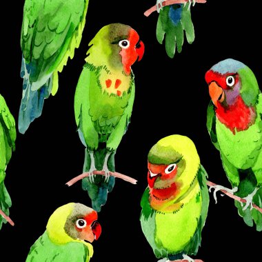 Gökyüzü kuşlar küçük papağan desende bir yaban hayatı suluboya stili tarafından.