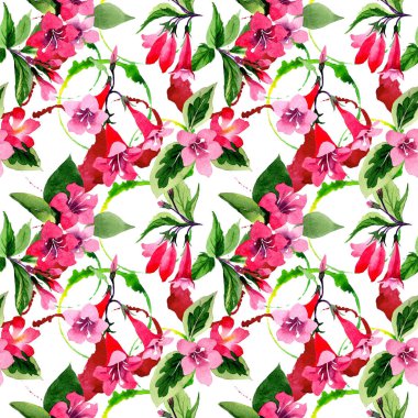 Kır çiçeği weigela çiçek deseni suluboya tarzında.