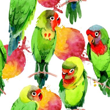 Gökyüzü kuşlar küçük papağan desende bir yaban hayatı suluboya stili tarafından.