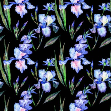 Kır çiçeği Iris çiçek deseni suluboya tarzında.