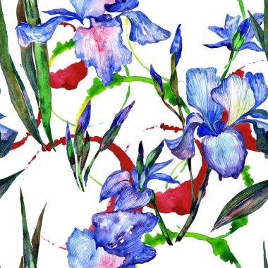 Kır çiçeği Iris çiçek deseni suluboya tarzında.