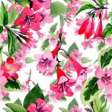 Kır çiçeği weigela çiçek deseni suluboya tarzında.