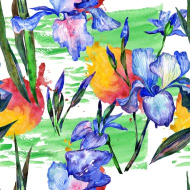 Kır çiçeği Iris çiçek deseni suluboya tarzında.