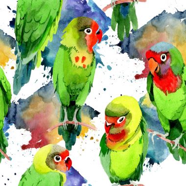 Gökyüzü kuşlar küçük papağan desende bir yaban hayatı suluboya stili tarafından.