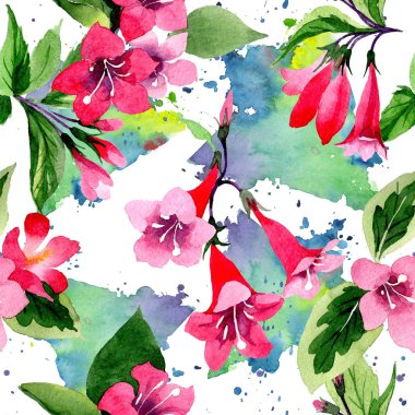 Kır çiçeği weigela çiçek deseni suluboya tarzında.