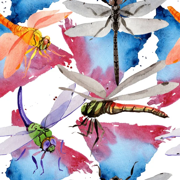 Exotické dragonfly divoké hmyzu vzor ve stylu akvarelu. — Stock fotografie