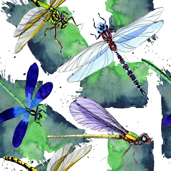 Exotic dragonfly wild insect pattern in a watercolor style.