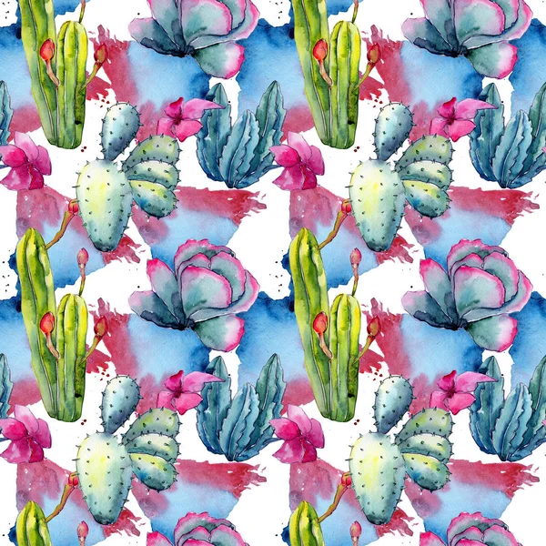 水彩風のエキゾチックな野生の花サボテン パターン. — ストック写真