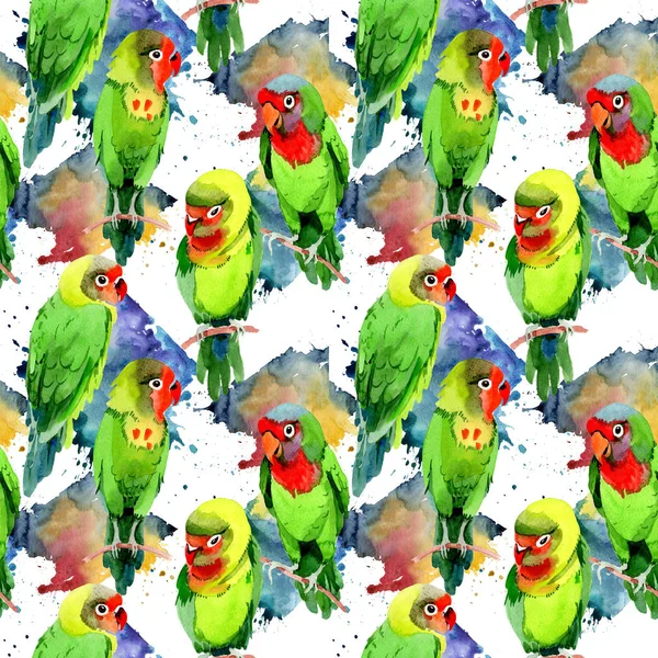 Himmelsvögel kleine Papageien Muster in einer Tierwelt von Aquarell-Stil. — Stockfoto