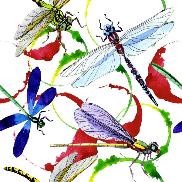 Exotic dragonfly wild insect pattern in a watercolor style. — Stock Photo, Image