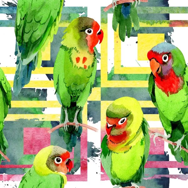 Sky birds small parrots pattern in a wildlife by watercolor style. — Stock Photo, Image